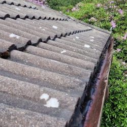 We provide Gutter Clearing services throughout Nottinghamshire and the East Midlands. Read More