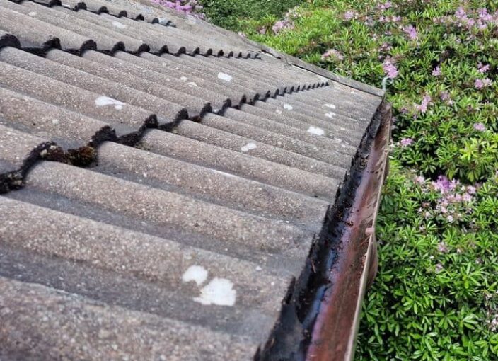 Gutter-cleaning-nottinghamshire