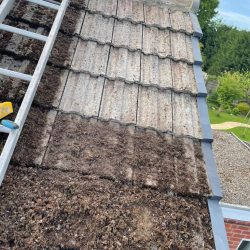 We provide Roof Cleaning services throughout Nottinghamshire and the East Midlands. Read More