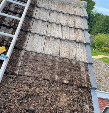 Roof Cleaning not only keeps your property looking good but also protects it from leaks and more.